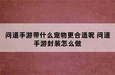 问道手游带什么宠物更合适呢 问道手游封装怎么做